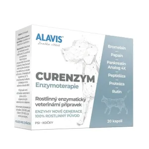 Alavis ALAVIS™ CURENZYM Enzymoterapie 20 kapslí