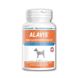 Alavis ALAVIS™ MSM + Glukosamin sulfát 60 tbl