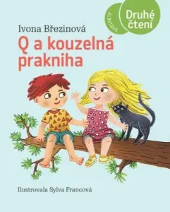 Q a kouzelná prakniha - Ivona Březinová - e-kniha