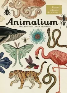 Animalium - Katie Scott, Jenny Broomová