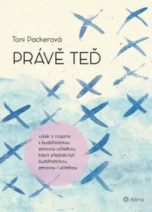 Právě teď - Toni Packerová - e-kniha