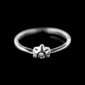 Stříbrný prsten 15401