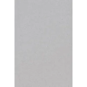 Amscan Ubrus stříbrný 137 x 274 cm #4676967