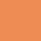 Dámské kalhotky - ANDRIE PS 2886, vel. M-XXL Barva: Oranžová, Velikost: 50/52-XXL