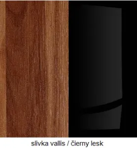 ArtCross Šatní skříň HUGO | 10 Barva: Švestka Vallis / černý lesk
