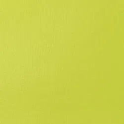Akrylová barva Basics 22ml – 840 brilliant yellow green