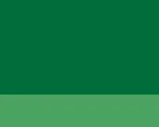 Olejová barva Lefranc 40ml – 506 Chrome Green Medium Deep