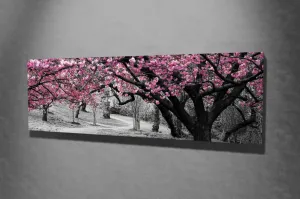 Wallity Obraz na plátně Cherry tree alley PC017 30x80 cm