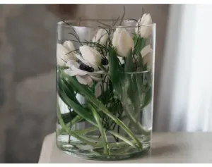 Skleněná váza 19x25 cm, průhledná válcová