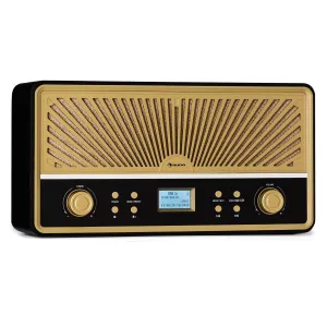 Auna Glastonbury Go, digitální rádio, stereo, Li-Ion baterie, BT, DAB/UKW, MP3, USB, Line-In #761796