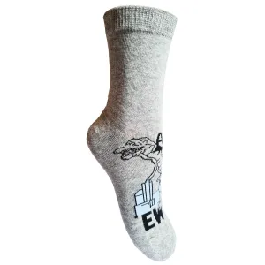 Chlapecké ponožky - Aura.Via GZF9108, světle šedá Barva: Šedá, Velikost: 32-35