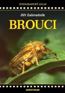 Brouci - Jiří Zahradník #5535939