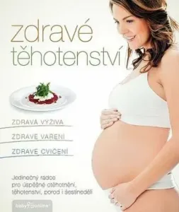 Zdravé těhotenství - Jana Martincová, Vorlová Kamila, Jana Eliášová