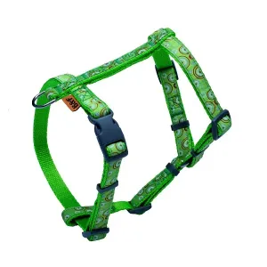 Postroj BaF kroužky zelený 2x35-56x46-72cm