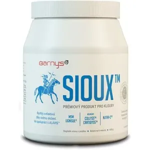 Barny`s MSM - SIOUX 600 g