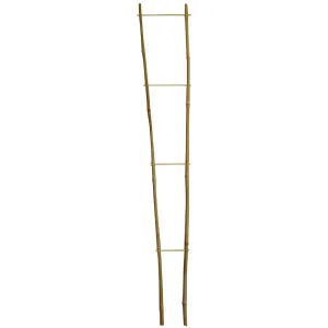 Bambusový žebřík #633076
