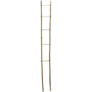 Bambusový žebřík #633077