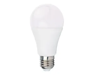 Berge LED žárovka ecoPLANET - E27 - A60 - 15W - 1500Lm - studená bílá