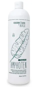 BES Colour Lock Amphoten Shampoo New 1000ml - Speciální šampon pro barvené vlasy #5346378