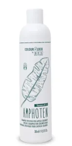 BES Colour Lock Amphoten Shampoo New 300ml - Speciální šampon pro barvené vlasy #4443191