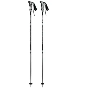 BLIZZARD-Allmountain ski poles, silver Šedá 120 cm 23/24