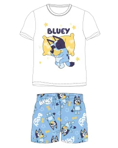 Bluey - licence Chlapecké pyžamo - Bluey 5204009, bílá / světle modrá Barva: Bílá, Velikost: 116