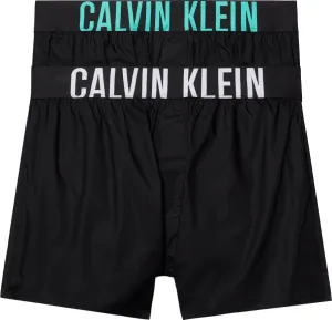 Calvin Klein 2 PACK - pánské trenky NB3833A-MVL M