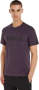 Calvin Klein Pánské triko Regular Fit NM1959E-VE5 S