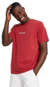 Calvin Klein Pánské triko Regular Fit NM2170E-XKG L