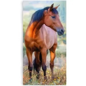CARBOTEX Froté ručník kůň hnědák na louce 30×50 cm