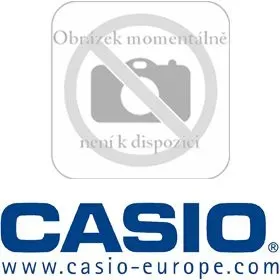 Datové terminály Casio