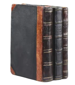 Hnědá antik dekorace knihy Old French Books - 12*8*17cm 39051200 (39512-00)