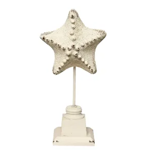 Dekorace mořská hvězdice - 15*9*32 cm 6PR1039