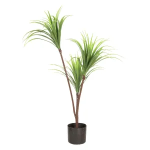 Dekorační pokojová rostlina Dracena - 75 cm 5PL0028 - sleva