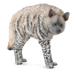 COLLECTA - Hyena žíhaná