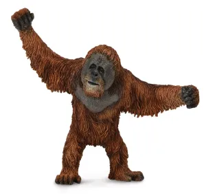 COLLECTA - Orangutan