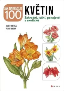 Jak nakreslit 100 květin: Zahradní, luční, pokojové a exotické