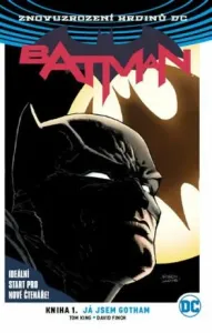 Batman 01: Já jsem Gotham V4 - David Finch, Tom King