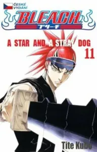 Bleach 11: A Star and a Stray Dog - Tite Kubo