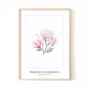 Bílý květinový plakát s motivem magnólie