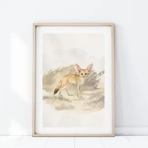 Plakát z kolekce safari s motivem lišky fenek