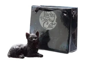 Černá kočka pro štěstí v dárkové minitaštičce Číslo: 2