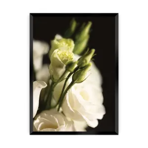 Dekoria Plakát Dark Flowers I, 40 x 50 cm, Volba rámku: Černý