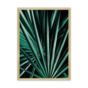 Dekoria Plakát Dark Palm Tree, 50 x 70 cm, Volba rámku: Zlatý