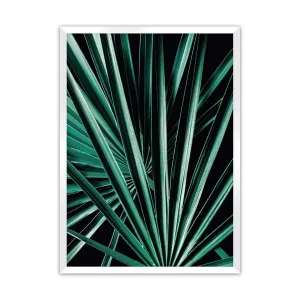 Dekoria Plakát Dark Palm Tree, 70 x 100 cm, Volba rámku: Bílý