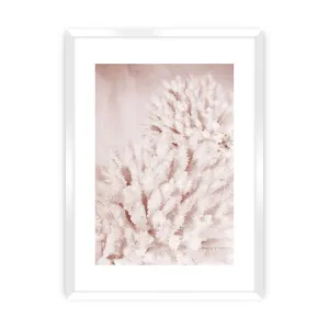 Dekoria Plakát Pastel Pink II, 70 x 100 cm, Zvolit rámek: Bílý