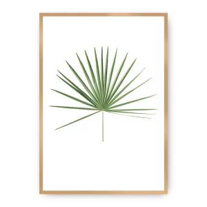 Dekoria Plakát Tropical Leaf Green, 21 x 30 cm, Vybrat rám: Zlatý