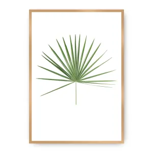 Dekoria Plakát Tropical Leaf Green, 50 x 70 cm, Vybrat rám: Zlatý