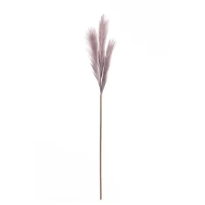 Dekoria Pampová tráva 100cm light violet, 2 x 2 x 100 cm