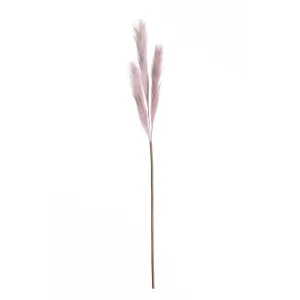 Dekoria Pampová tráva 100cm lilac, 2 x 2 x 100 cm